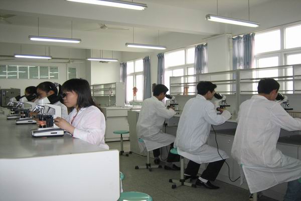 生物技术专业本科