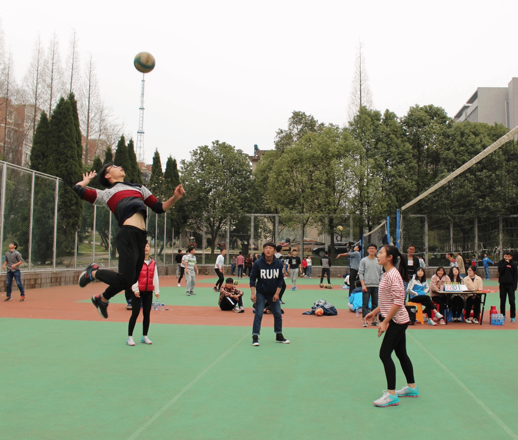 食品药品学院第七届专业排球赛圆满落幕