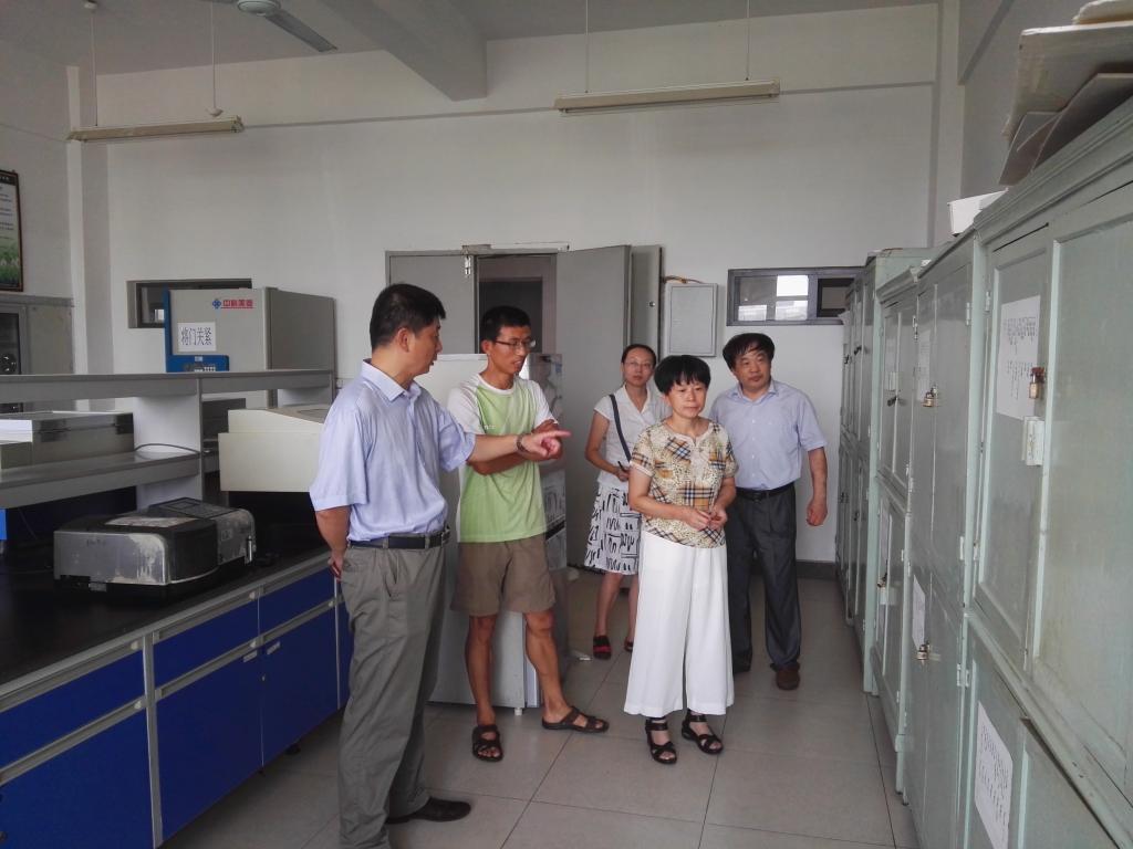 校领导带队开展实验室安全隐患排查工作-安徽