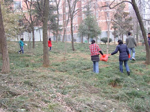 05级国际经济与贸易专业学生积极开展青年志