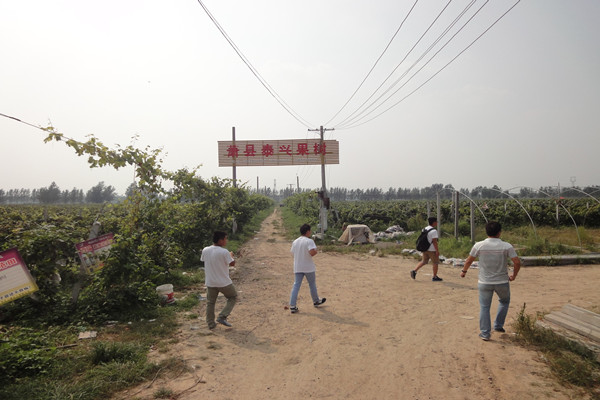 DSC02234_副本.jpg