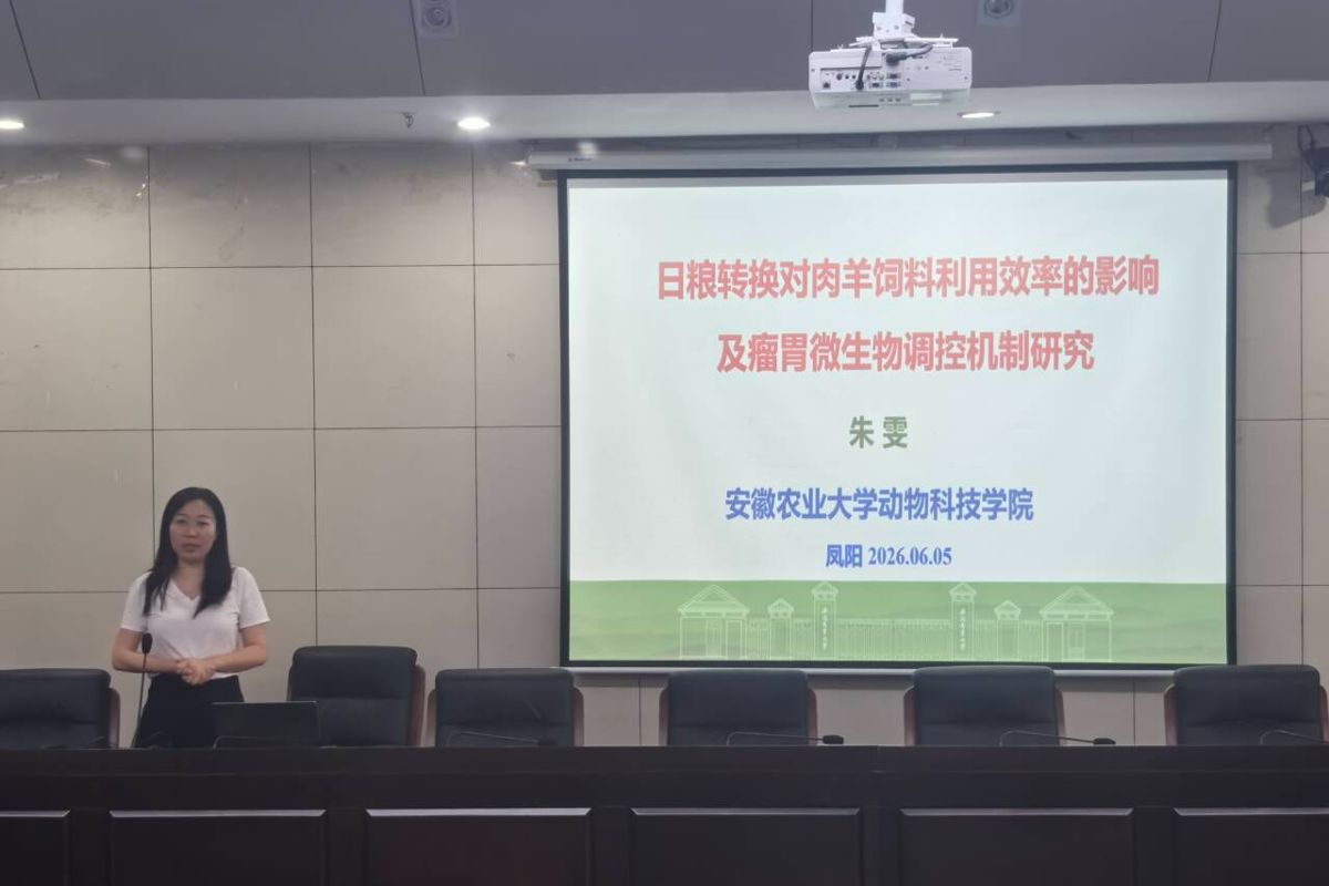 d2b1b37548ce4917d6560f70cf0d2a6f_720.jpg