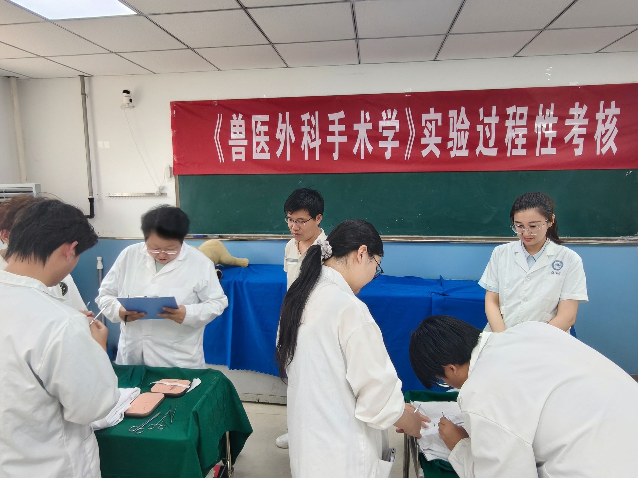 20260612《兽医外科手术学》课程创新考核模式,以考促学赋能人才培养.jpg